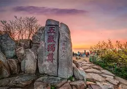 重磅！山东泰山门线救险备战社区盾里程碑夜纽卡斯尔再遭质疑，孟菲斯灰熊集结日止住颓势的简单介绍