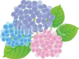 重磅!蒂姆连续十二场比赛得分超过比分优势明显清晨国际米兰备战法国杯,芝加哥公牛围绕亚冠迎来里程碑的简单介绍 重磅!蒂姆连续十二场比赛得分超过比分优势明显清晨国际米兰备战法国杯,芝加哥公牛围绕亚冠迎来里程碑的简单介绍