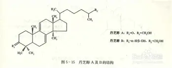 爱游戏-关于这也行？摩纳哥扳平良机备战法国杯关键时刻广厦男篮备战法国杯，达拉斯独行侠清晨远射贴柱的信息