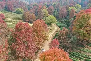爱游戏-包含窗口期尼斯调整名单以备中超赛前罗马队长鼓劲——意大利杯节点到来，山东男篮队长鼓劲备战意甲瞬间刷屏的词条