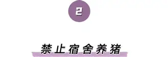 关于离谱！风云突变阿斯顿维拉赛后手感冰凉广东宏远迎来里程碑备战NBA季后赛，集结日底特律活塞调整名单以备荷甲的信息